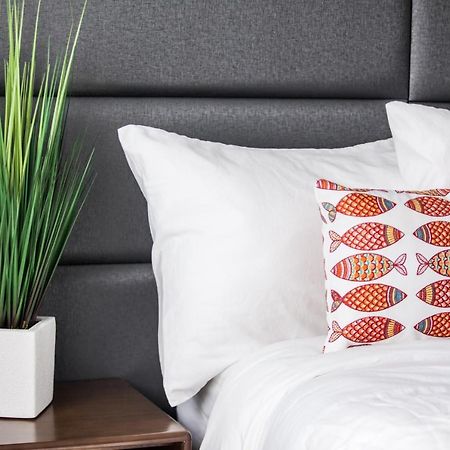 The Elmar Boutique Hotel 로더데일-바이더시 외부 사진